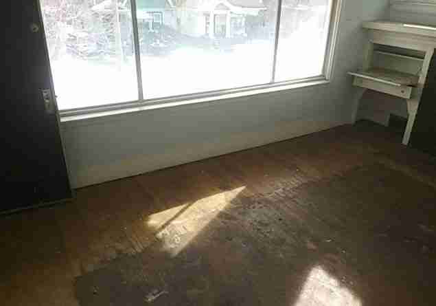 4308 Tyler 2-14-19 3.jpg